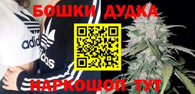 прущие грибы Нягань