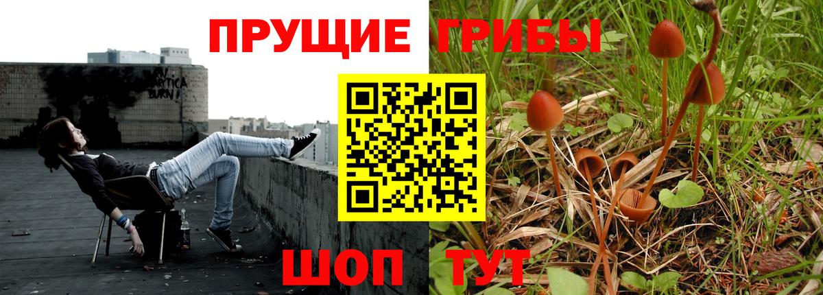 Галлюциногенные грибы GOLDEN TEACHER Саяногорск