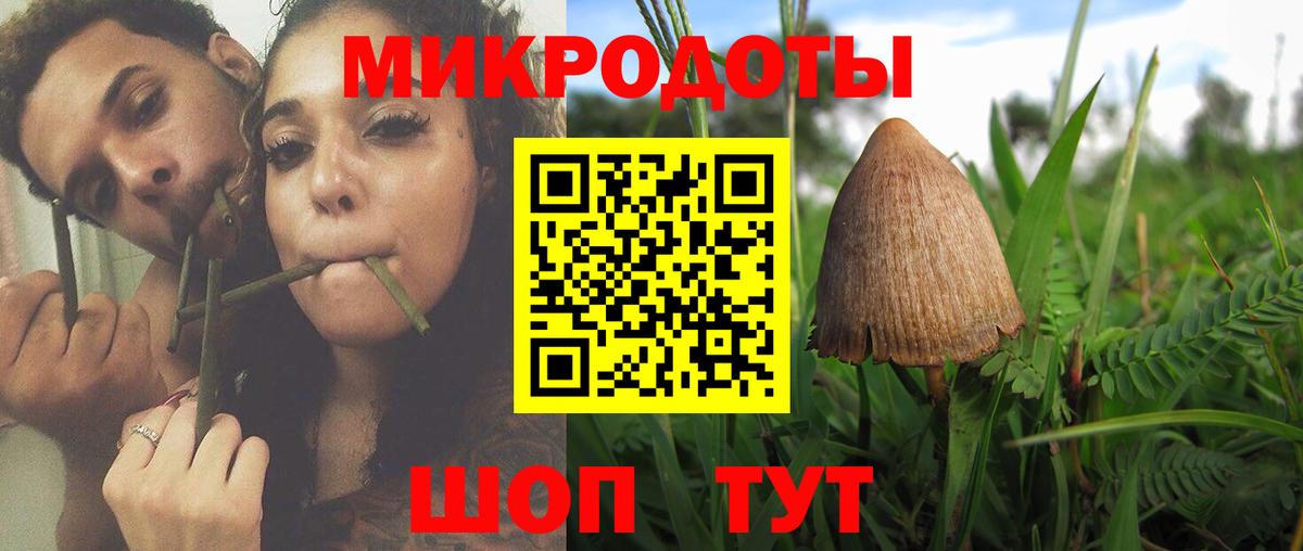 Галлюциногенные грибы Psilocybe  Галлюциногенные грибы ЛСД  Вход с VPN  Саяногорск 